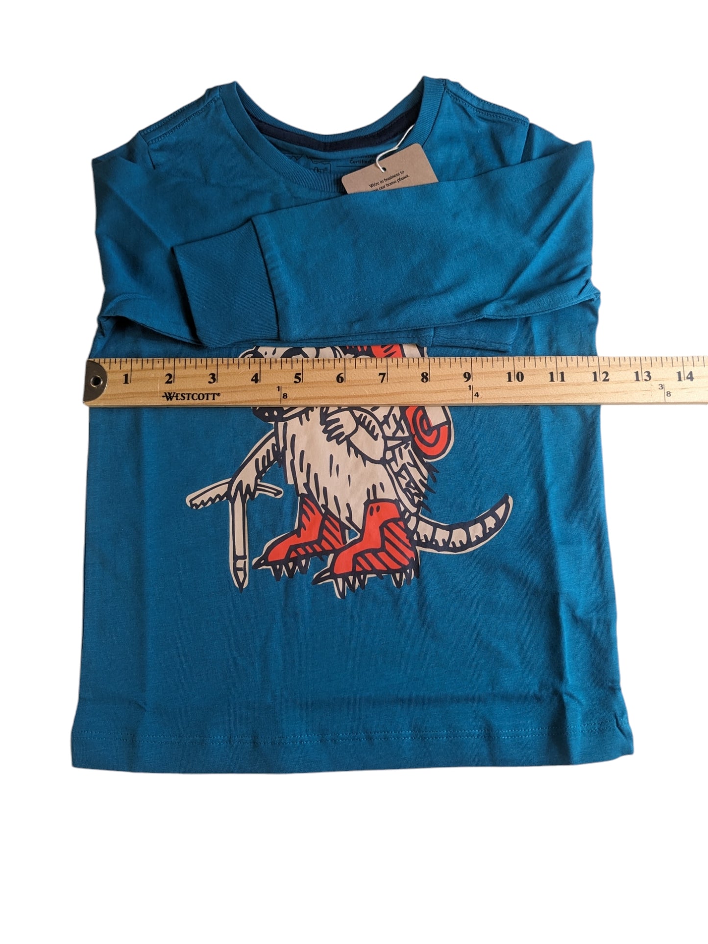 Patagonia T-shirt