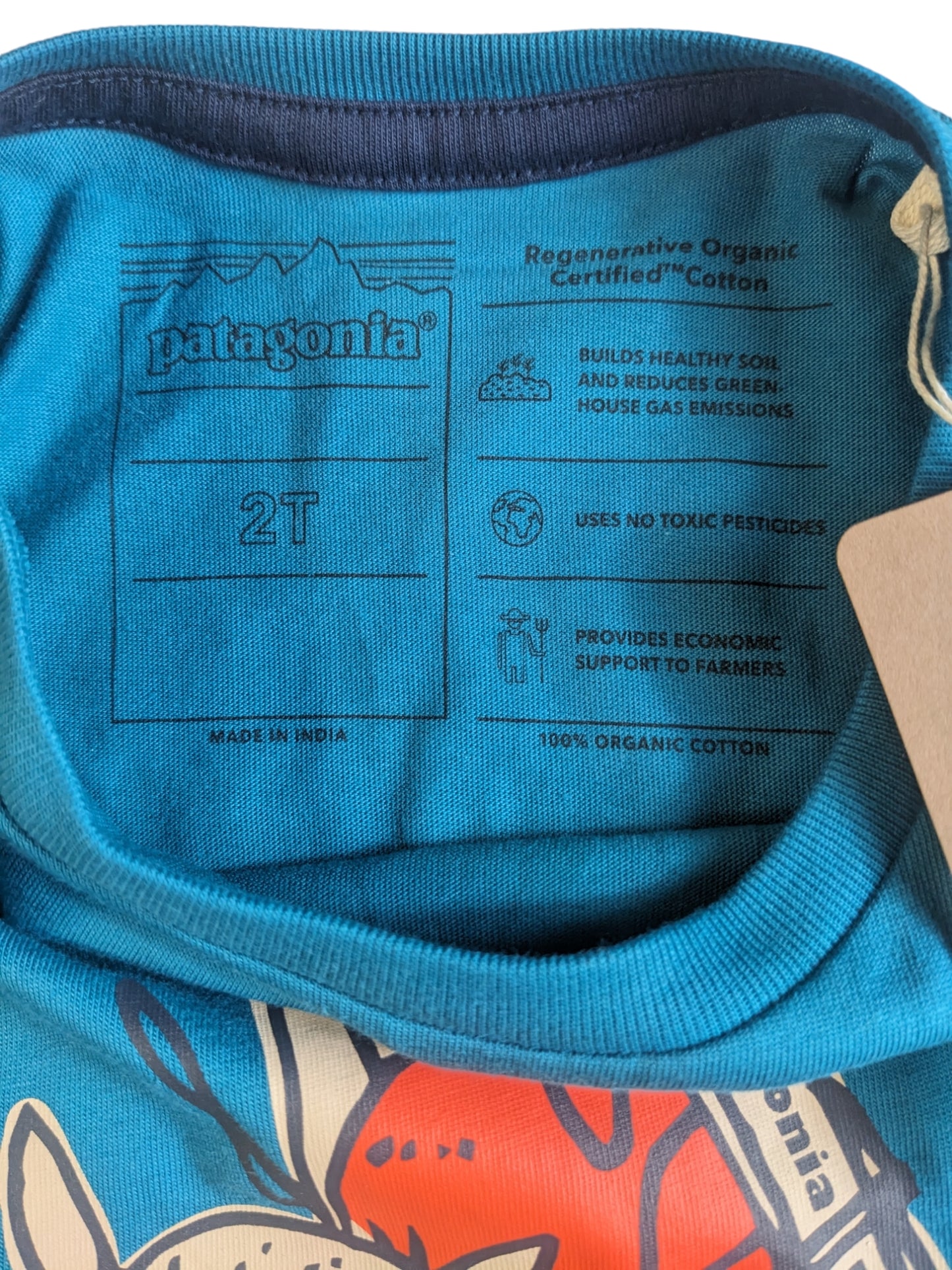 Patagonia T-shirt