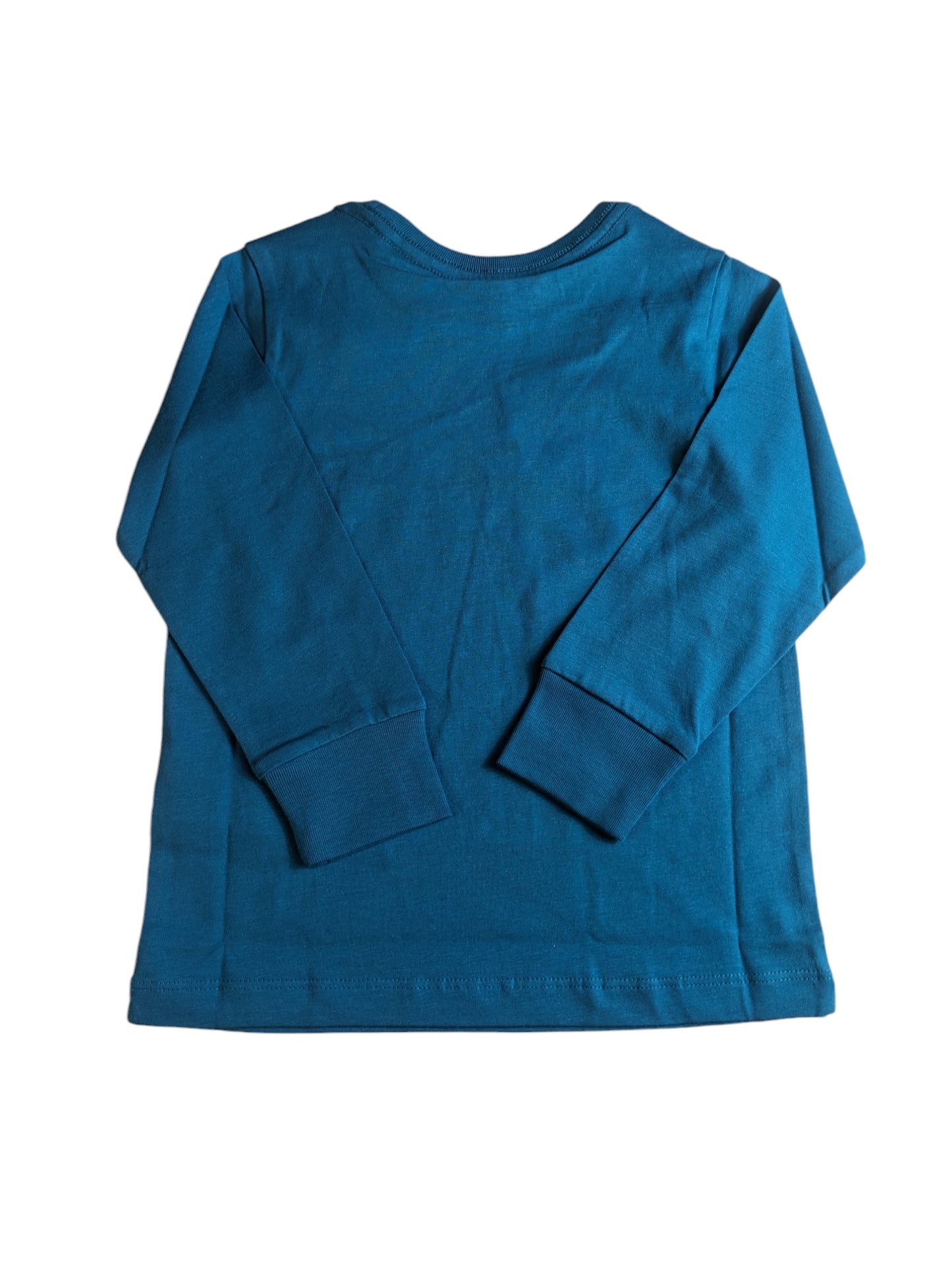 Patagonia T-shirt