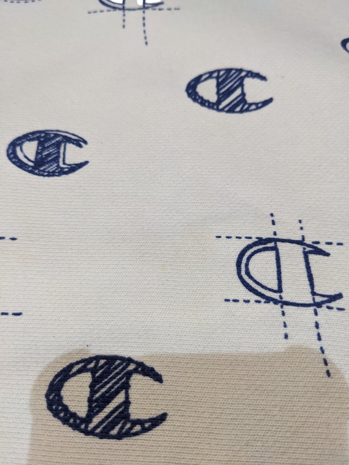 Champion Ladies Jumper