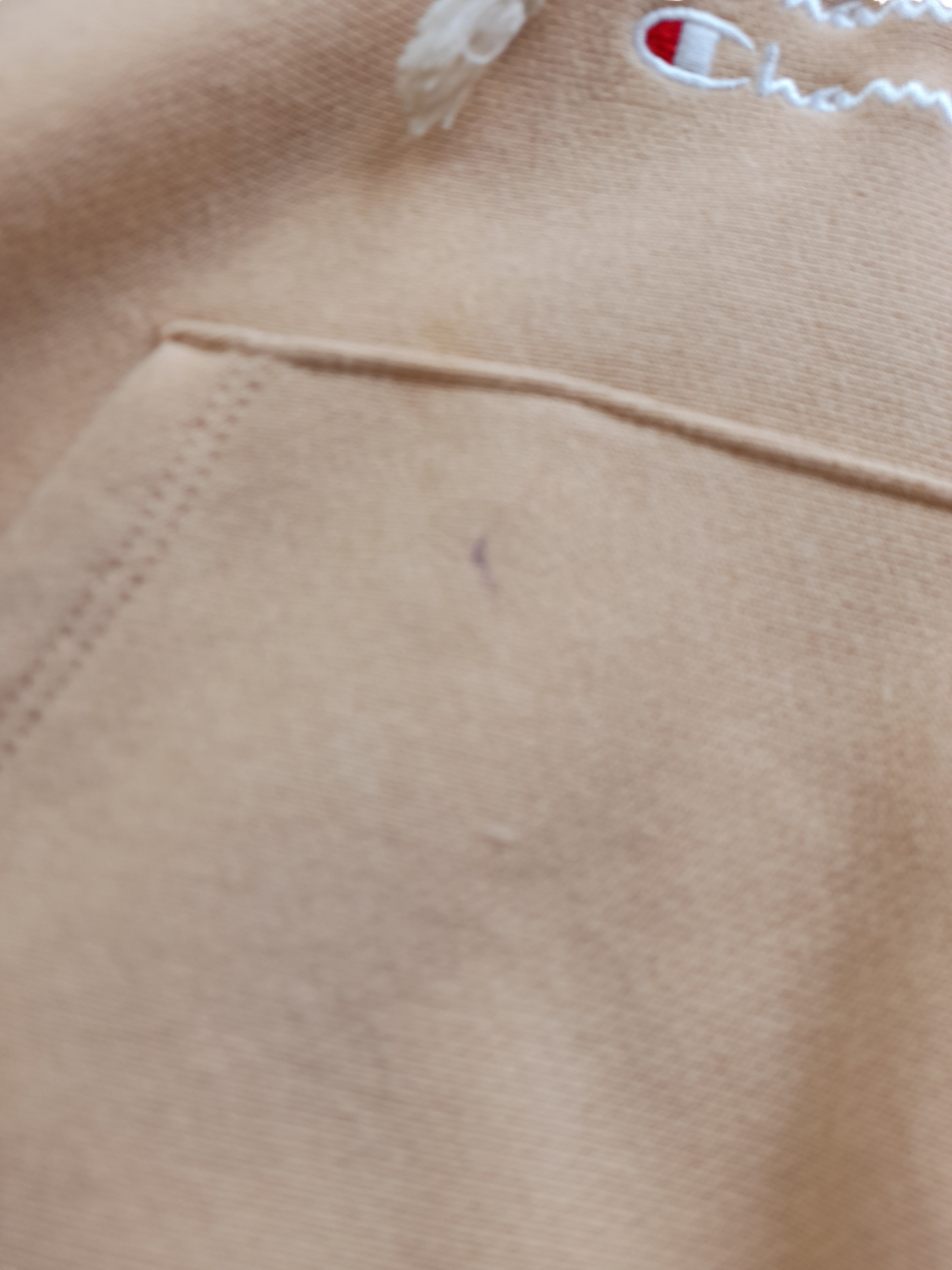 Champion Cropped Hoodie