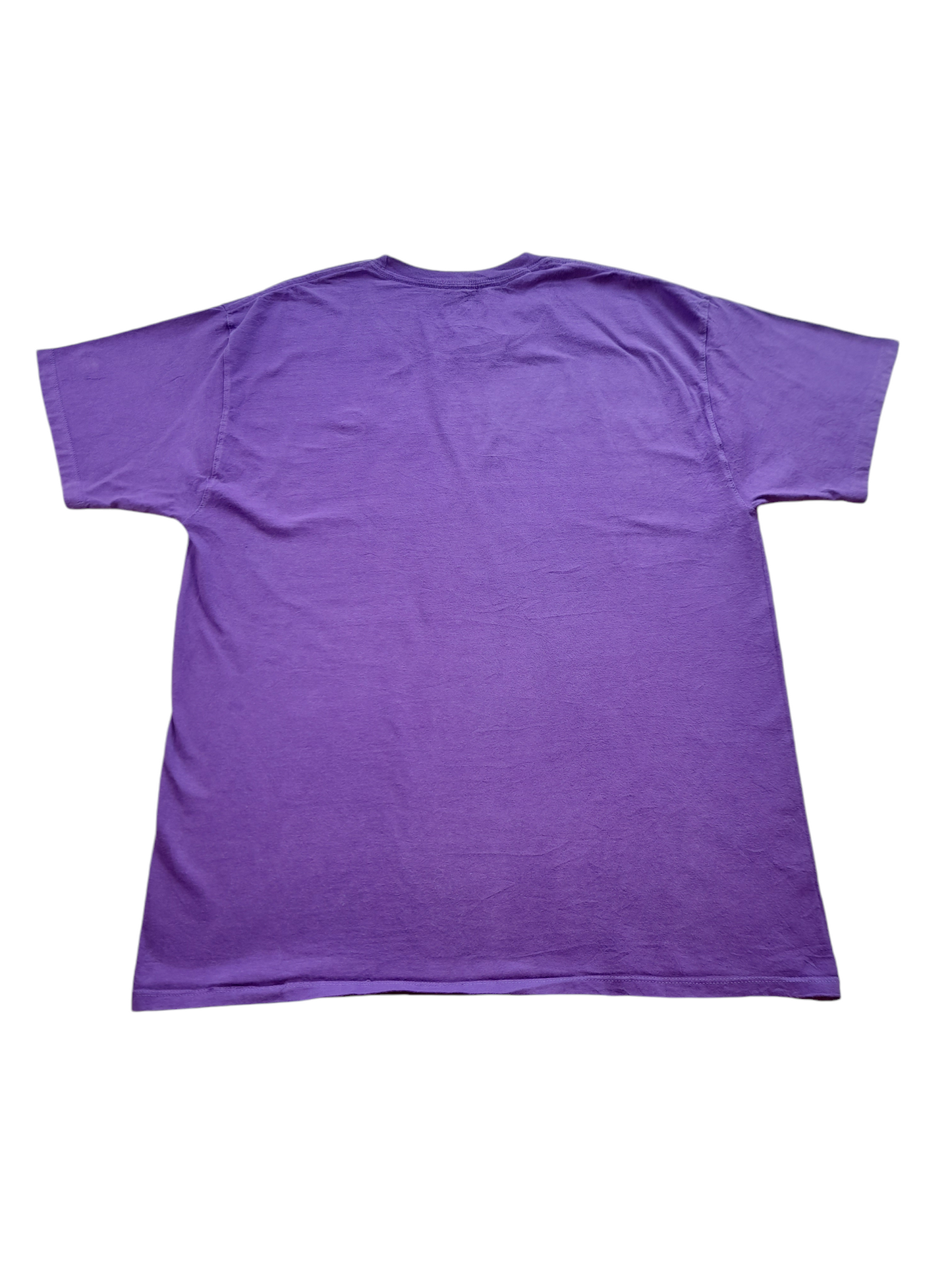 Champion Tshirt