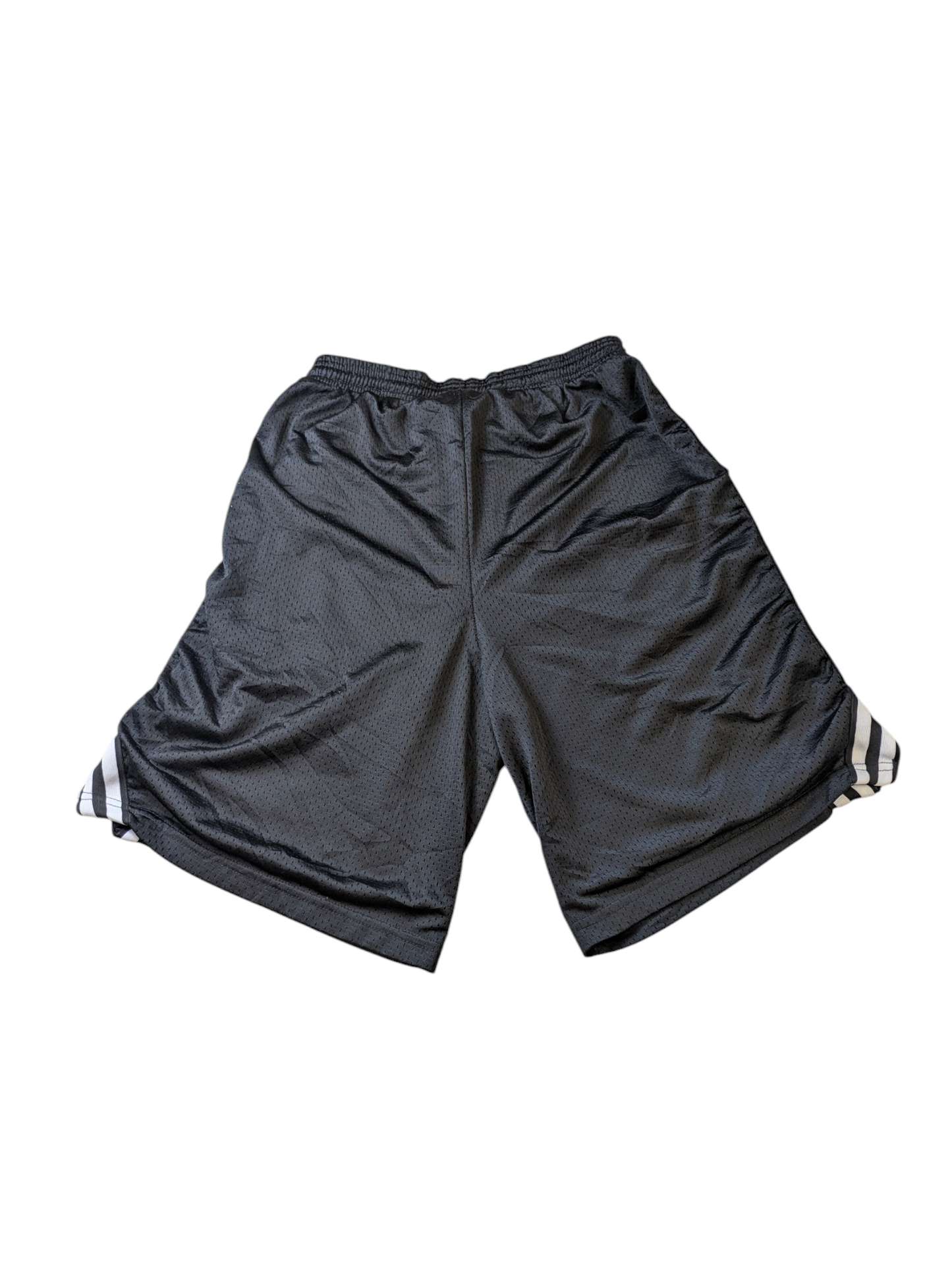 Champion Shorts