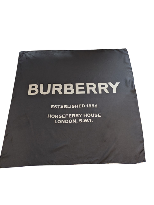 Burberry Scarf
