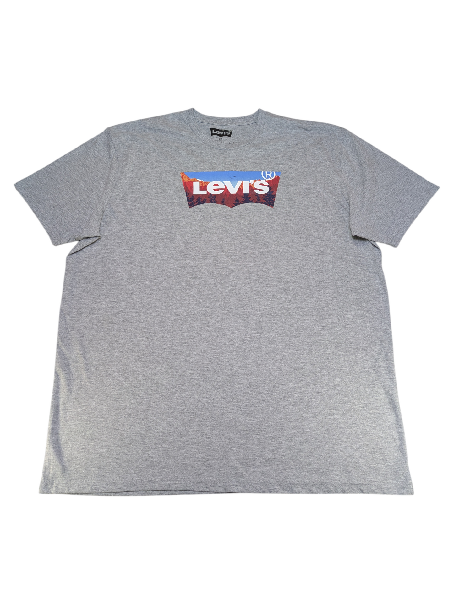 Levi's Tshirt