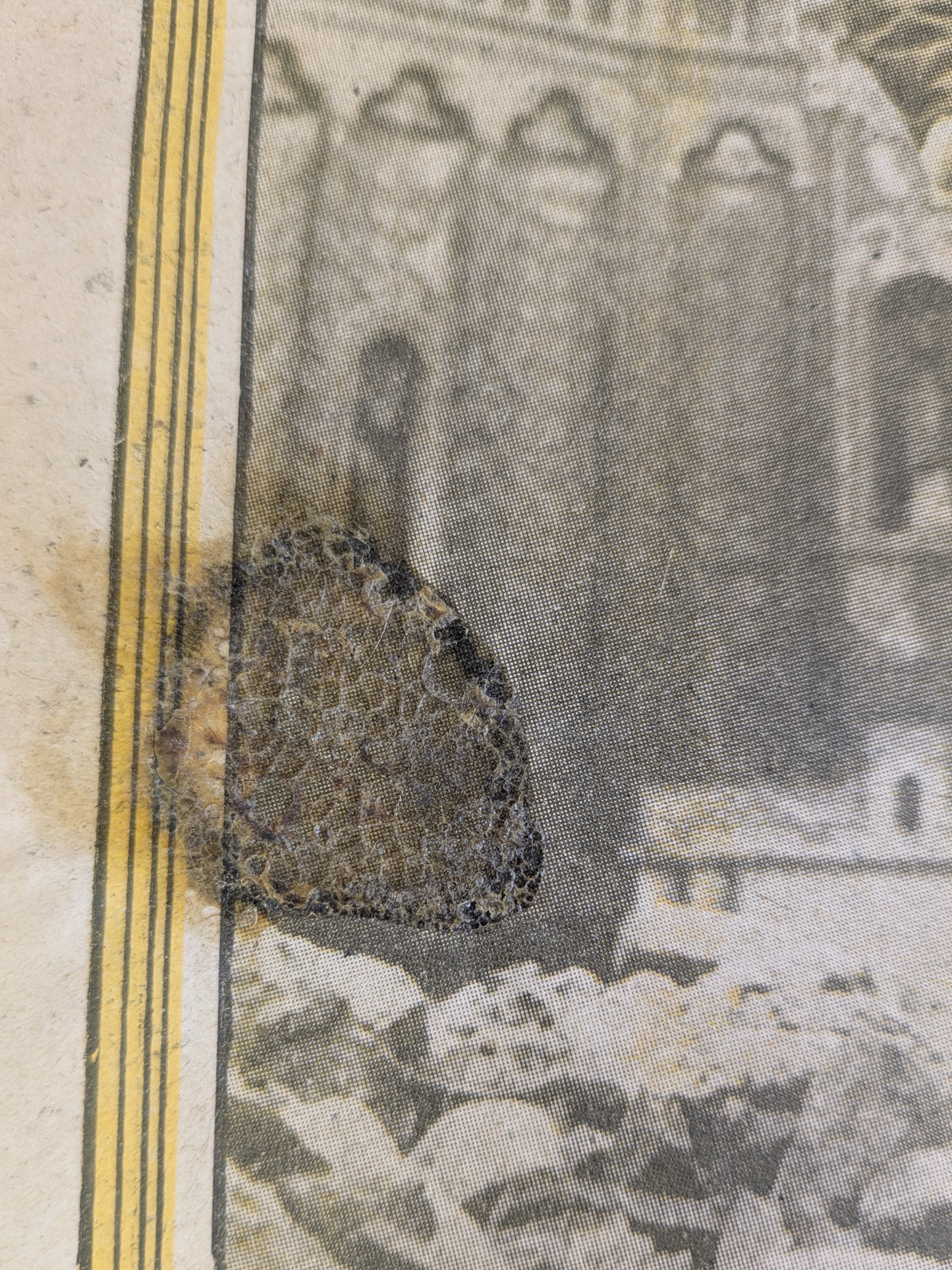 The War Illustrated Magazine