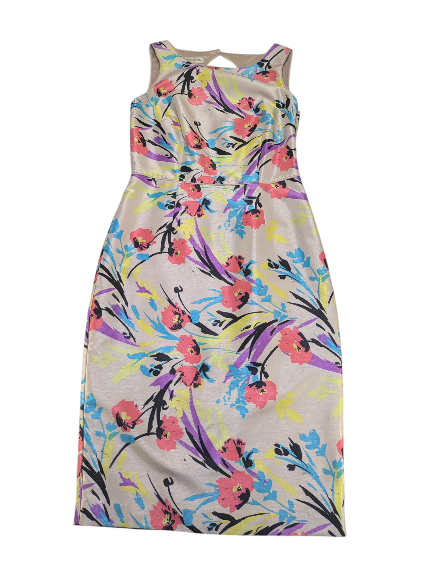 Monsoon Dress